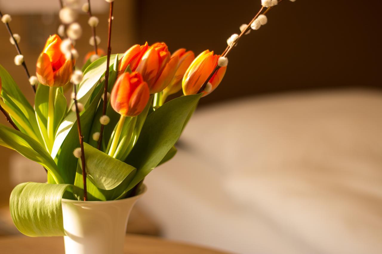 Hotel Heldt Bad Pyrmont Εξωτερικό φωτογραφία